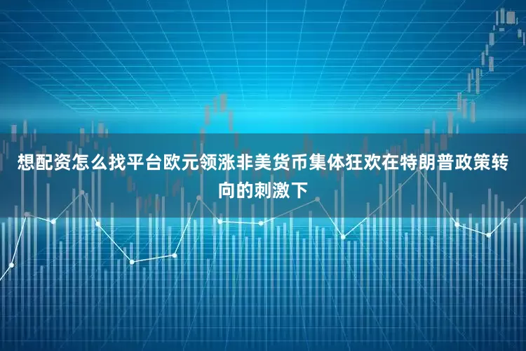 想配资怎么找平台欧元领涨非美货币集体狂欢在特朗普政策转向的刺激下