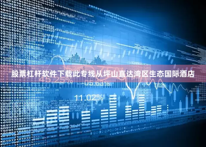 股票杠杆软件下载此专线从坪山直达湾区生态国际酒店