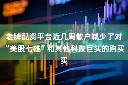 老牌配资平台近几周散户减少了对“美股七雄”和其他科技巨头的购买