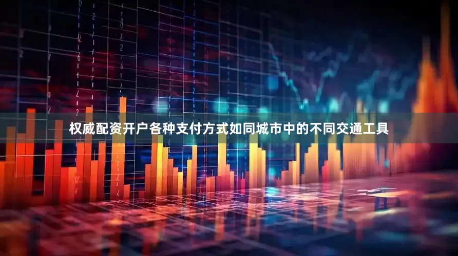 权威配资开户各种支付方式如同城市中的不同交通工具