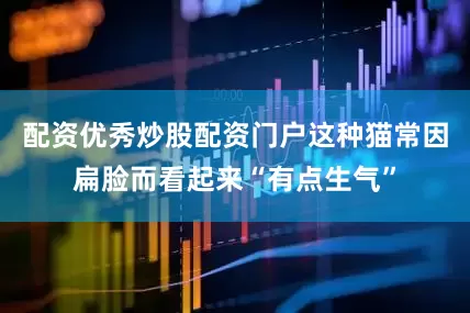 配资优秀炒股配资门户这种猫常因扁脸而看起来“有点生气”