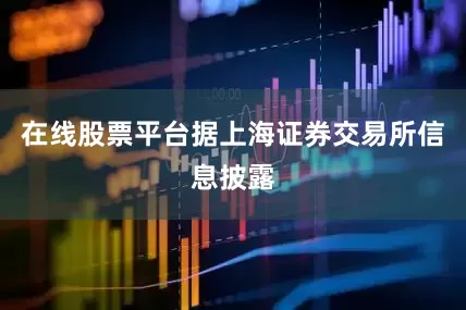 在线股票平台据上海证券交易所信息披露